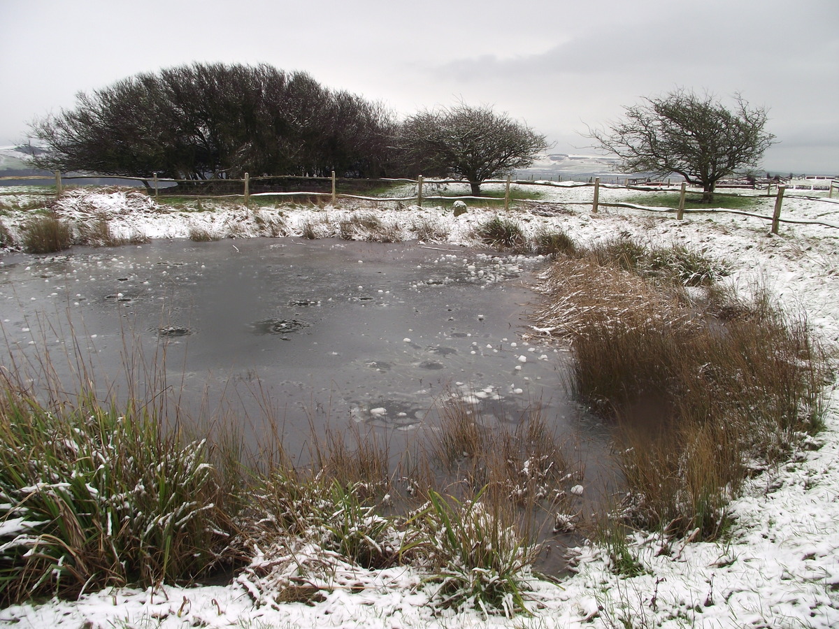 Jill's pond in winter